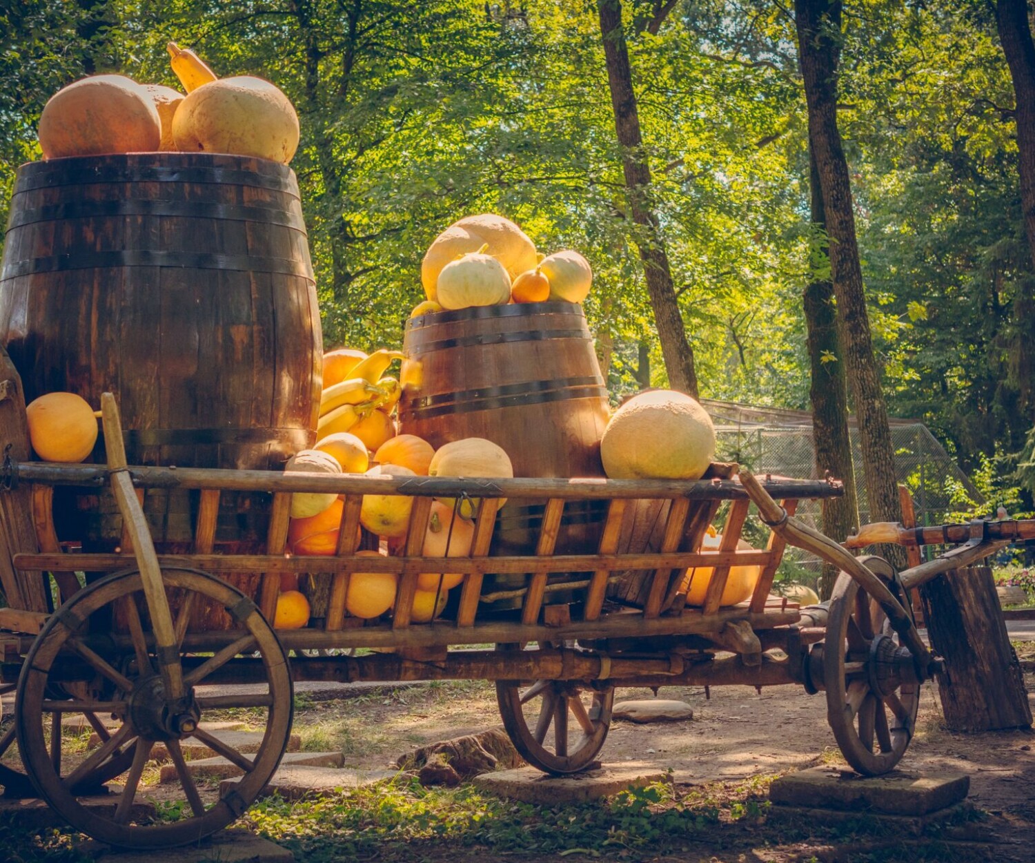 A small wooden cart filled with vibrant, freshly picked orange pumpkins and squash