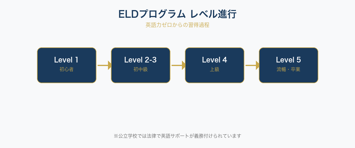 ELDプログラムレベル進行フロー図