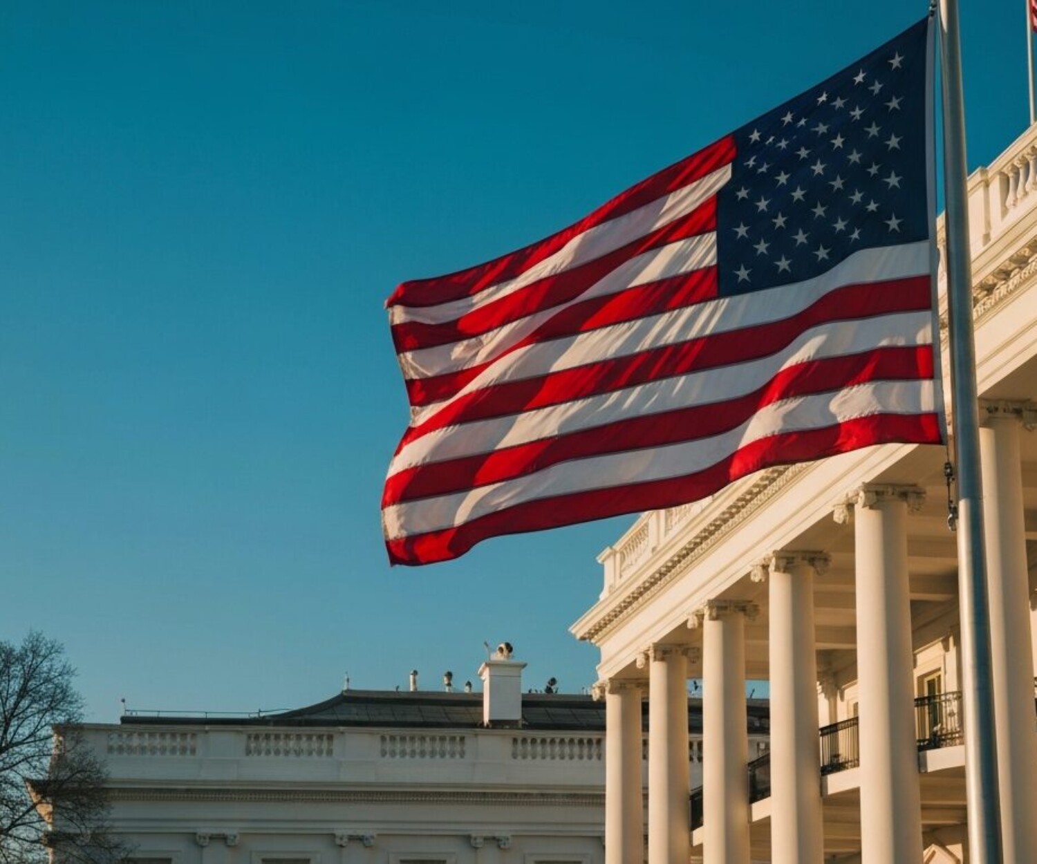 noem dhsに関する画像