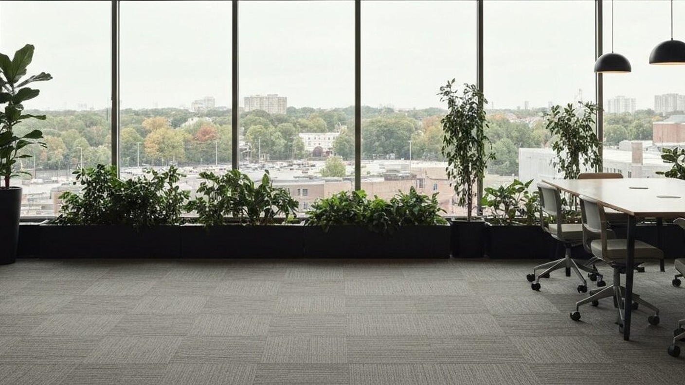 4. 入国審査での注意点と実際の運用